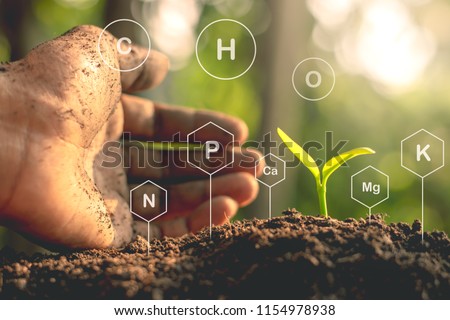 The seedlings are exuberant from abundant loamy soils and have a digital mineral icon needed for planting. Royalty-Free Stock Photo #1154978938