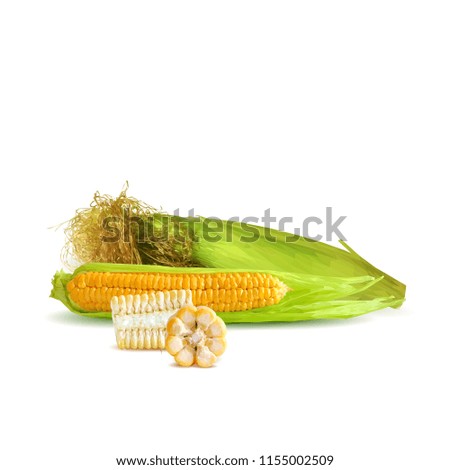 Fresh, nutritious, tasty corn. Elements for label design. Vector illustration. Ingredients in triangulation technique. Corn low poly.