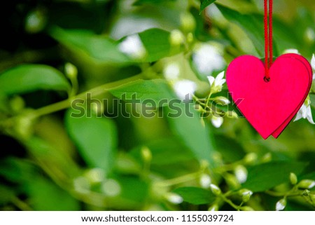 Two red hearts on a background of white Jasmine flowers