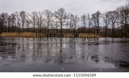 Frozen lake in forest. Winter nature. Trees without leaves.