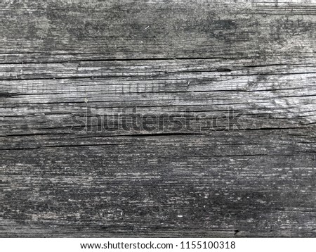 Old silver grey wood texture background. Rustic oak tree wooden panel for design.