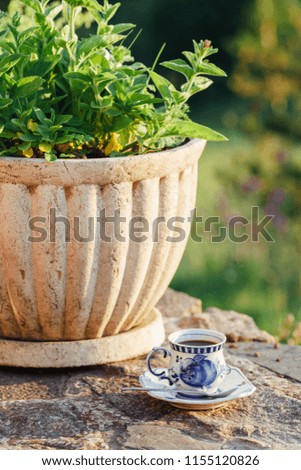 A cup of coffee on a stone fence with flowers in the garden
