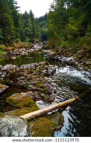 The East Fork of the Lewis River in Washington State