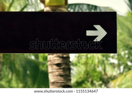 Wooden nameplate with index arrow and copy space. object on the background of palm trees