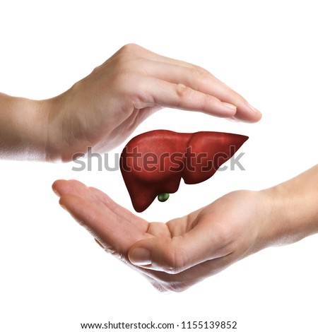 A human liver between two palms of a woman on  white isolated background. The concept of a healthy liver. Royalty-Free Stock Photo #1155139852