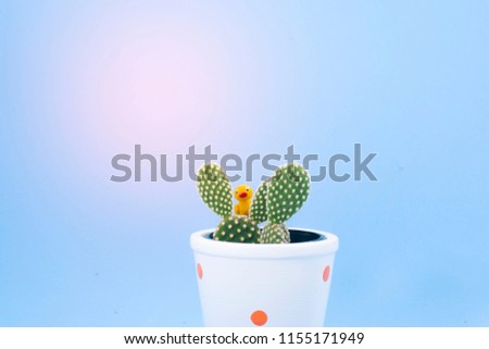 Cactus in a white pot isolated against a blue background.