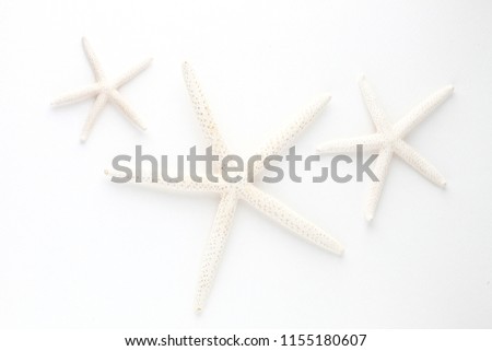 Close up of starfish isolated on white.