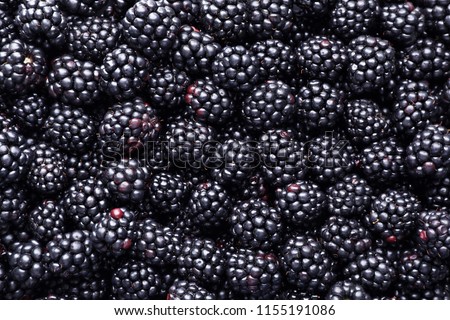 Fresh ripe blackberries as background, top view Royalty-Free Stock Photo #1155191086