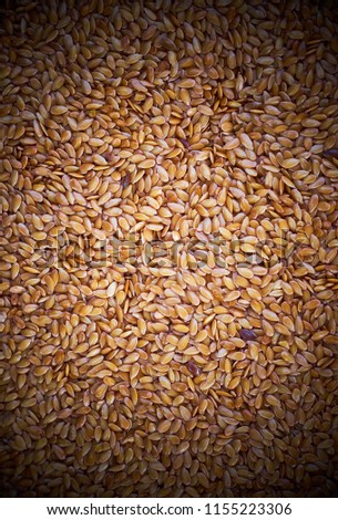gold linseed seeds texture