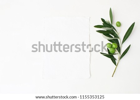 Styled stock photo. Feminine wedding desktop mockup scene with green olive branch and white empty vertical paper card. Foliage composition on white table background. Top view. Flat lay picture.