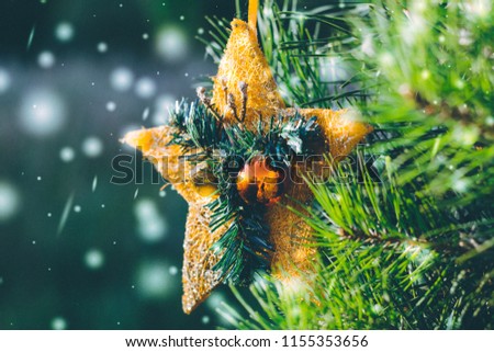 Christmas tree toy in the form of an orange star with balls hanging on a live spruce. close-up. toned photo with snow