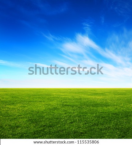 Image of green grass field and bright blue sky Royalty-Free Stock Photo #115535806