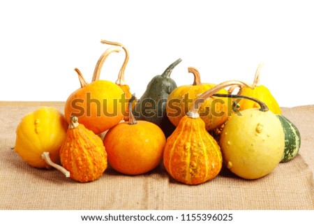 Large pile of ripe orange decorative pumpkins on  white isolated background