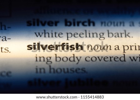 silverfish word in a dictionary. silverfish concept.