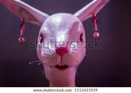 Rabbit head mannequin with earrings