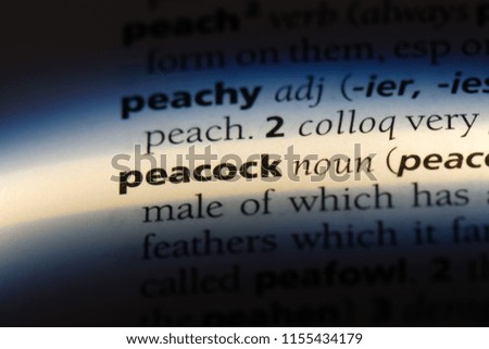 peacock word in a dictionary. peacock concept.
