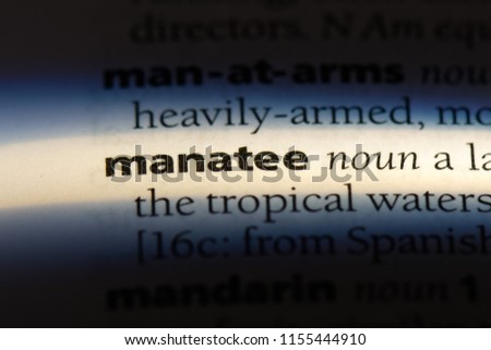 manatee word in a dictionary. manatee concept.