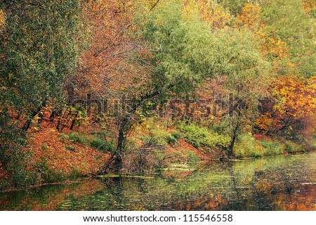 River  Zagyva in full autumn dress