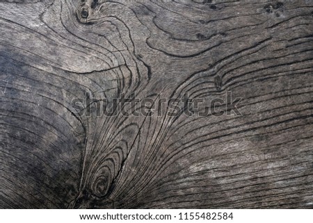 Close up wood texture or wood gain use for web design and abstract texture background