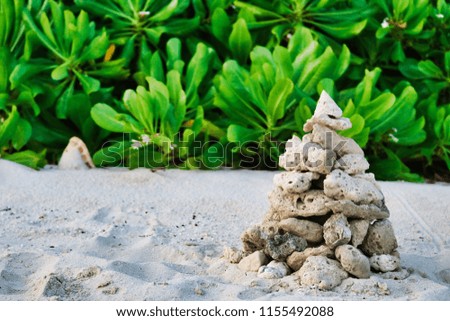 In this unique picture you see a pyramid of coral on a beach in the Maldives with lush green plants in the background 