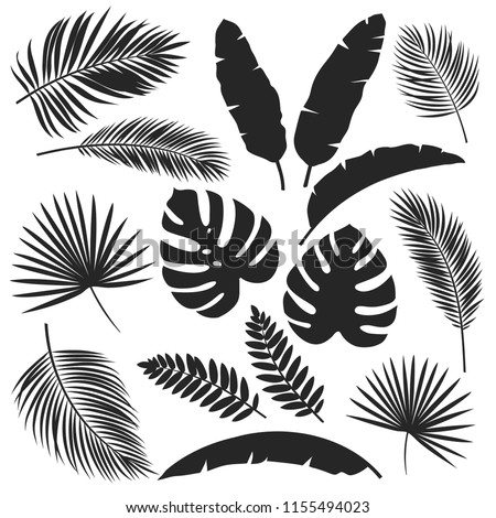 Set vector silhouettes tropical leaves. Monochrome jungle exotic leaf philodendron, areca palm, royal fern, banana leaf. Illustration for summer tropical paradise advertising design vacation.