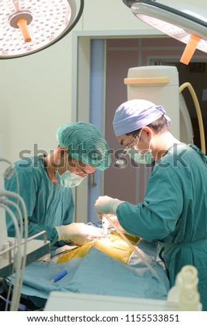 two of veterinarian surgery in operation room