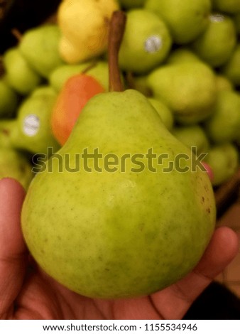 Holding a California Bartlett Pear