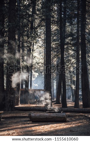 Camping site in Yosemite National park with a pit fire smoke in the air. Morning hours as the sun is rising you can see beams of light through the trees. Winter season and autumn colors