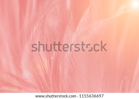 Beautiful Coral Pink vintage color trends feather pattern texture background with Orange light flare