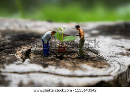 Miniature Greenhouse concept, miniature mini figures with planting tree and tree stump, protect nature background