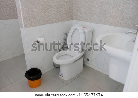 Clean toilet or clean restroom