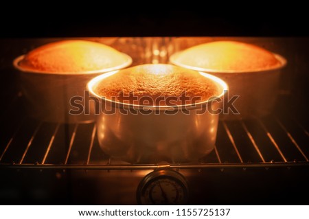Baking cake in oven with thermometer Royalty-Free Stock Photo #1155725137