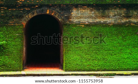 Tunnel door or Cave mouth at green wall with small moses stair wall. old red brick architecture in deep forest. mystery and dark inside. nature background