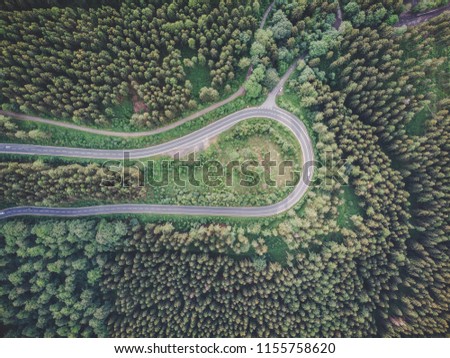 Topdown road in the forest