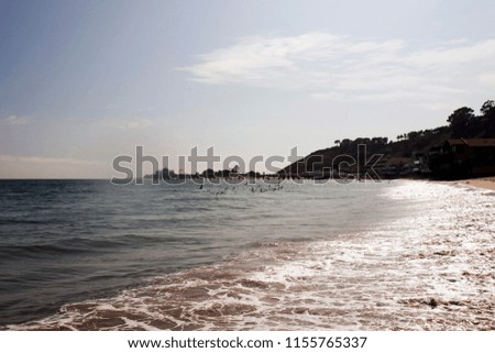 A view of Malibu beach and birds flying over the ocean in California	