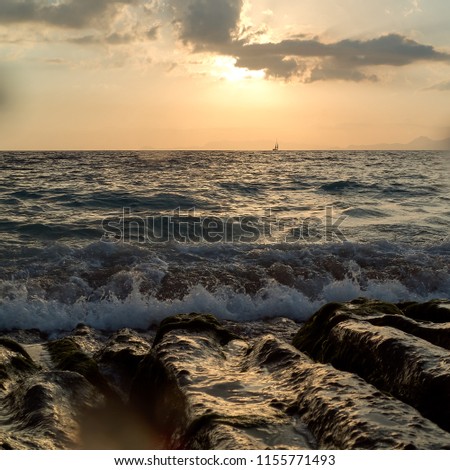 Bright sea sunset on the shore