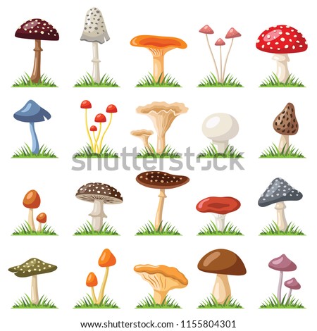 Mushroom and toadstool collection - vector color illustration Royalty-Free Stock Photo #1155804301
