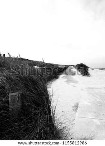 beautiful black and white landscape Picture road or way up in the sand hills with dune grass near the ocean
