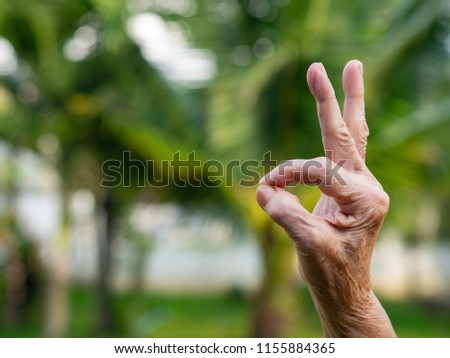 Everything is OK. Close-up of senior woman fingers showing gesture in sign language with nature background. Space for text.