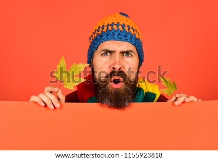 Man in hat holds green maple leaves on peachy orange background, copy space. Autumn and cold weather concept. October and November time idea. Hipster with beard and angry face wears warm clothes