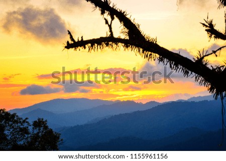 Beautiful colors of the evening sky at the top of the hill under the shadow of the forest. Sunset at Mae Wong National Park, Kamphaeng Phet, Thailand.Silhouette concept  