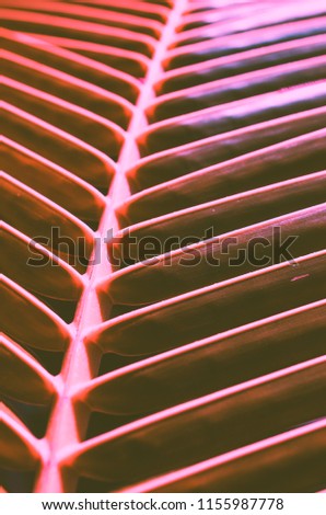 Palm leaf pattern texture abstract background. Vintage tone filter effect color style.