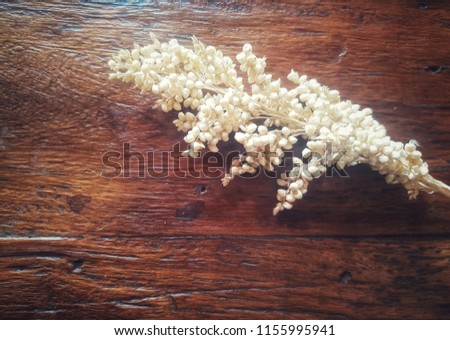 Bouquet of dried white flowers on the wooden table