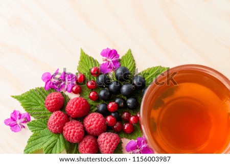 Fresh berries of raspberries, black and red currants, lie on green leaves with pink flowers on a light wooden background with free space. Nearby is a cup of a fragrant berry drink.