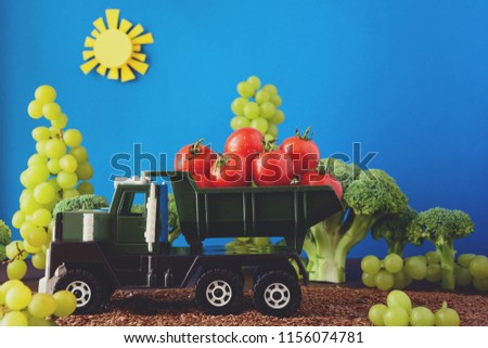 Kid's track loaded with fresh cherry tomatoes in garden from broccoli and grapes.  Harvest concept. Copy space. Toned