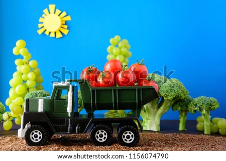 Kid's track loaded with fresh cherry tomatoes in garden from broccoli and grapes.  Harvest concept. Copy space
