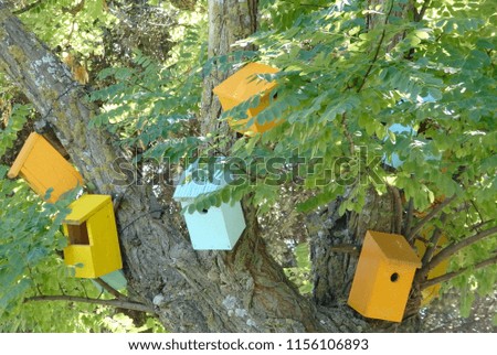bird tree nest feeder