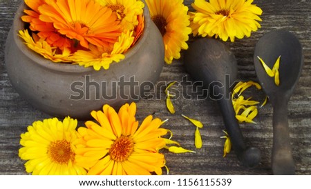 Medicinal marigold grass in a pot on a wooden background.