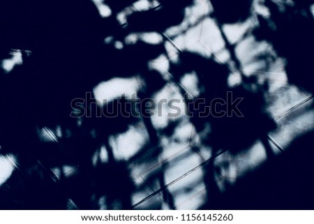 Beautiful plant shadows fallen on a tiles surface isolated blurry photo