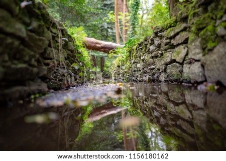 Colour photograph taken from within stone lined stream using f1.4 narrow depth of field
